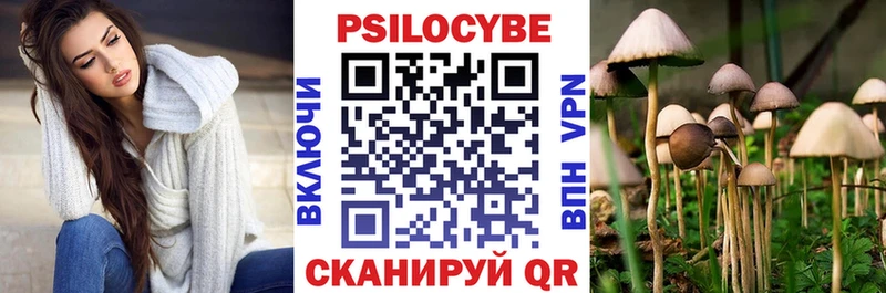 Купить закладки  Пионерский  Псилоцибиновые грибы Cubensis 